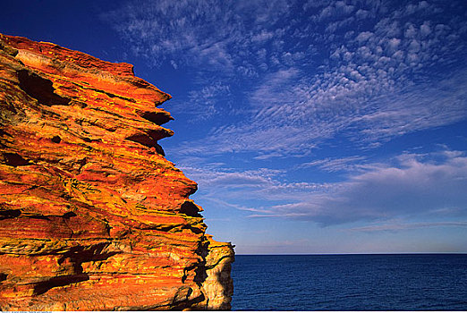 岩石,悬崖,海洋,西澳大利亚,澳大利亚