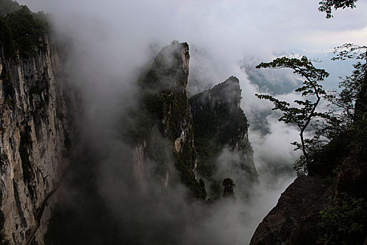 恩施,黄鹤峰,风景,景点,旅游,高山,山区,神秘,树木,植被,石头,鄂西,奇石,峡谷,壮观,云海,仙境