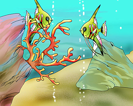 珊瑚,鱼,水下,插画
