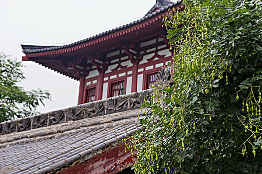 雨天中的华清宫山水园林景观