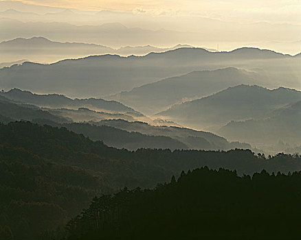 风景