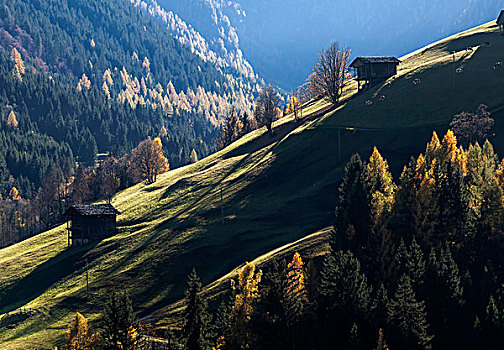 阿尔卑斯小屋,秋天,卡林西亚,奥地利
