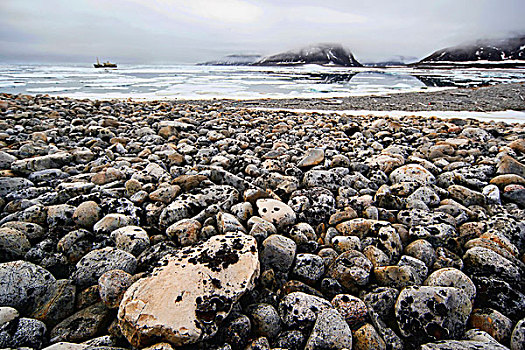 船,碎片,海滩,冰,斯瓦尔巴特群岛,斯匹次卑尔根岛,挪威