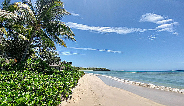 白色,沙滩,青绿色,蓝色海洋,围绕,棕榈树,斐济