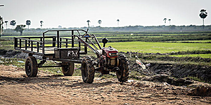 柬埔寨,收获,拖拉机,稻田
