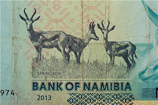 特写,纳米比亚,美元,货币