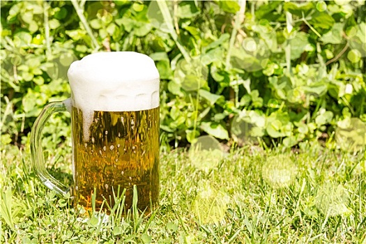 玻璃杯,啤酒,草地,草