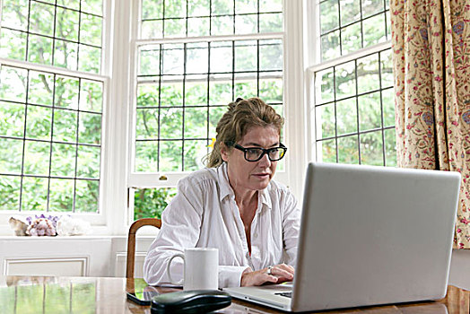 成年,女人,工作,笔记本电脑,客厅