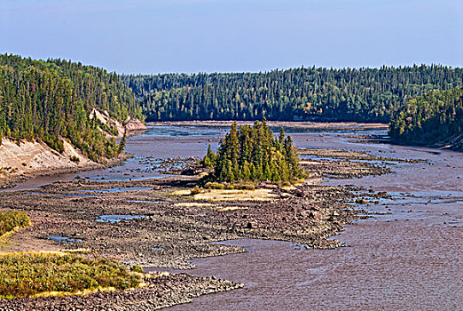 河,水獭,急流,遥远,北方针叶林,北方,安大略省,加拿大