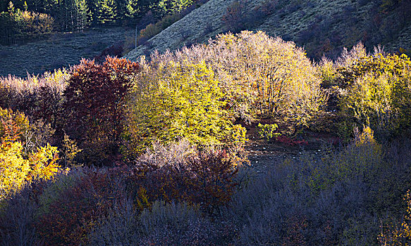 彩色,秋天,大萨索山,国家公园,乡村,地区,阿布鲁佐,意大利