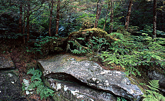 岩刻,温带雨林,靠近,不列颠哥伦比亚省,加拿大