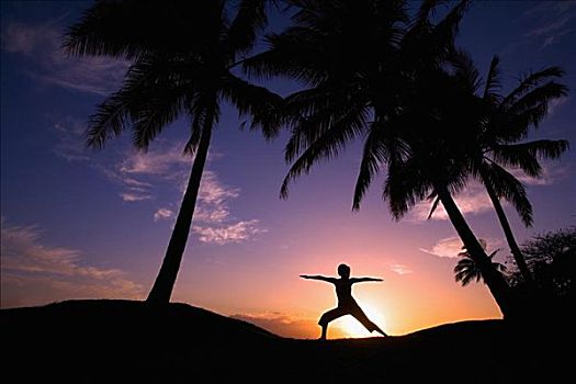 夏威夷,毛伊岛,欧咯瓦鲁,日落,棕榈树