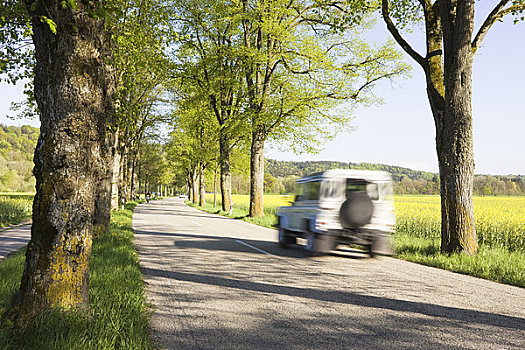汽车,乡间小路,排列,酸橙树,巴伐利亚,德国