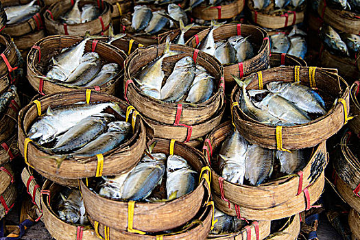 泰国,曼谷,干鱼,出售,市场,大幅,尺寸