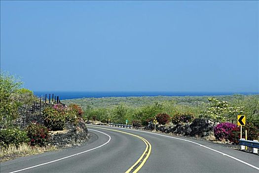 道路,通过,风景,霍那吾那吾,科纳海岸,夏威夷,美国