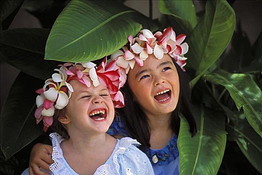 两个女孩,花环,笑,鸡蛋花,树,特写