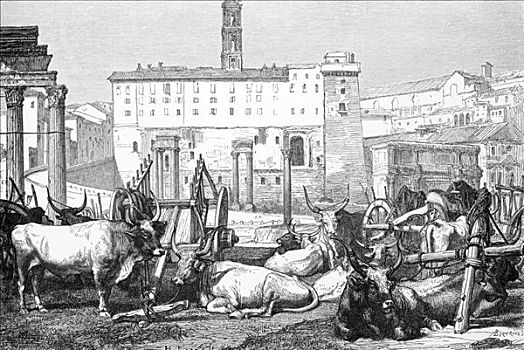 古罗马广场,罗马,意大利,1875年