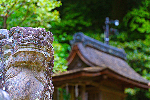 宇治上神社