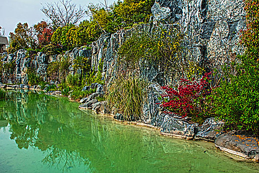 上海宝山炮台湾湿地公园风光