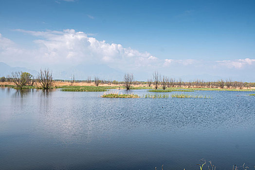 北京野鸭湖
