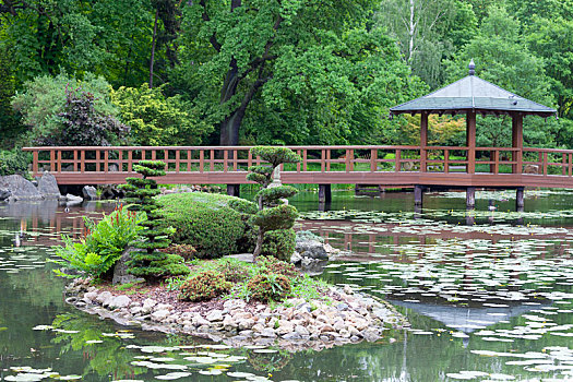 日式庭园,异域风情,植物,弗罗茨瓦夫,波兰