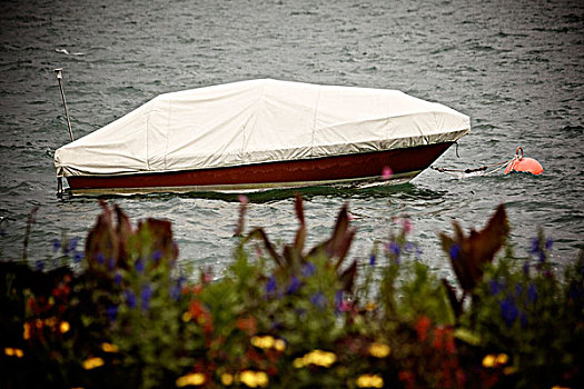 遮盖,船,康士坦茨湖