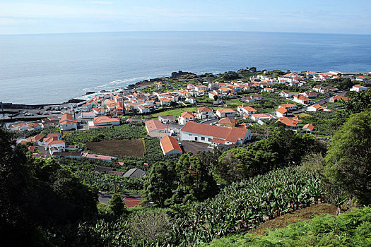 乡村,海岸,亚速尔群岛,岛屿,葡萄牙