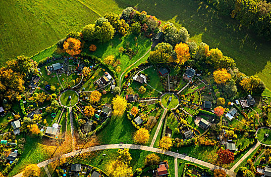 圆形,圆,秋叶,鲁尔区,北莱茵威斯特伐利亚,德国