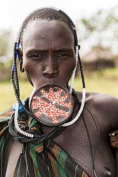 女人,唇盘,头像,部落,摩西族,南方,区域,埃塞俄比亚,非洲