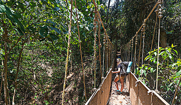 远足,美女,走,吊桥,丛林,国家公园,马来西亚,亚洲