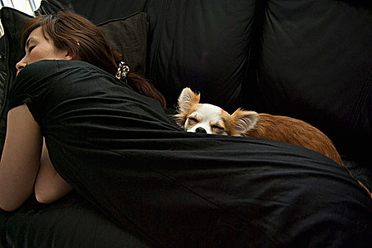 女人,狗,睡觉,沙发