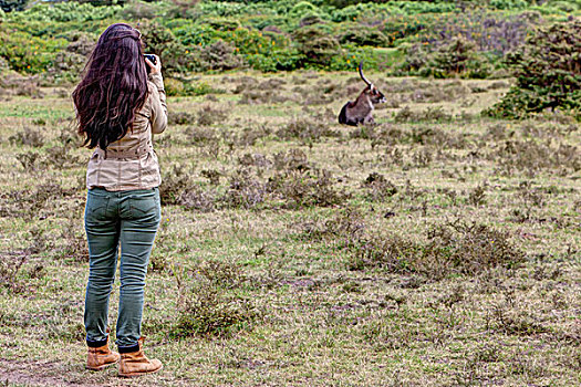 女青年,摄影师,拍照,水羚,湖,肯尼亚,东非,非洲