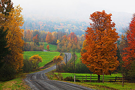 土路,秋天,晨雾,铁,山,魁北克,加拿大
