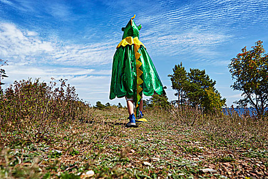 男孩,穿,绿色,斗篷,走,草,瑞典