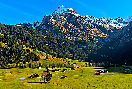 伯尔尼阿尔卑斯山,靠近,伯尔尼,瑞士,欧洲