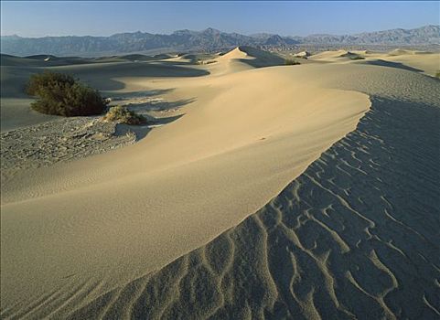 马斯奎特沙丘,死亡谷国家公园,加利福尼亚