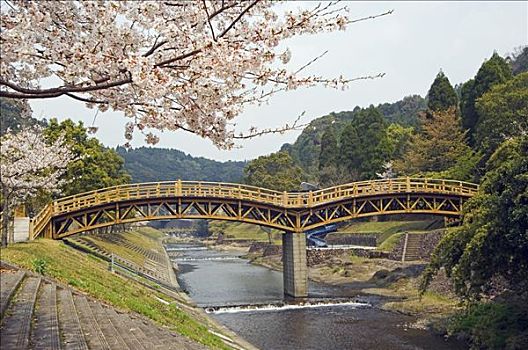 春天,樱花,靠近,河,木质,拱桥