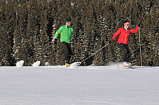 越野滑雪者,高山,区域,巴伐利亚,德国,欧洲