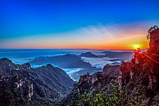 湖南,张家界,峰林,朝霞,云海