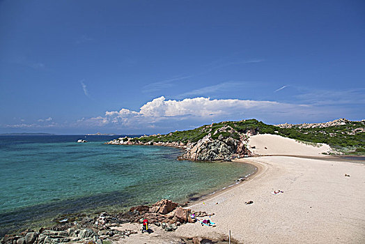 海滩,北方,群岛,萨丁尼亚,意大利