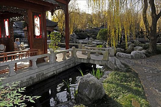 中式花园,悉尼,澳大利亚