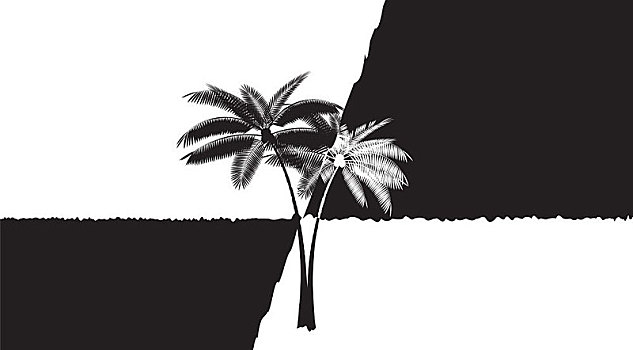 棕榈叶,矢量,白色背景,背景,插画