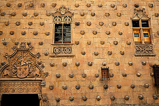 贝壳之家,壳,房子,萨拉曼卡,西班牙