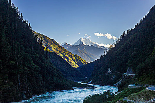 西藏高山峡谷树林