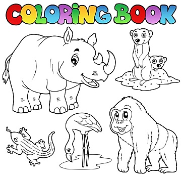 上色画册,动物园,动物