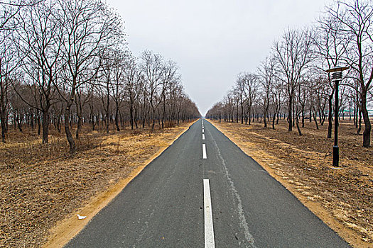 林间公路,森林公园