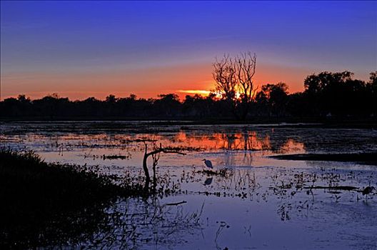 日出,卡卡杜国家公园,领土,澳大利亚