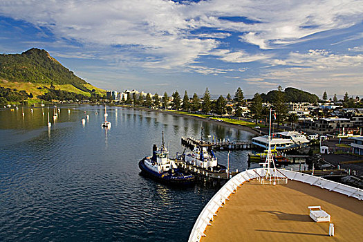 船,港口,山,背景,领航员,湾,攀升,北岛,新西兰