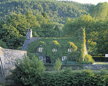 威尔士,石头,屋舍,乡村风光