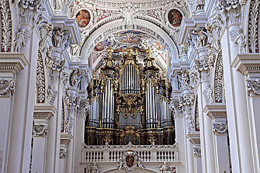 琴乐器,大教堂,帕绍,下巴伐利亚,巴伐利亚